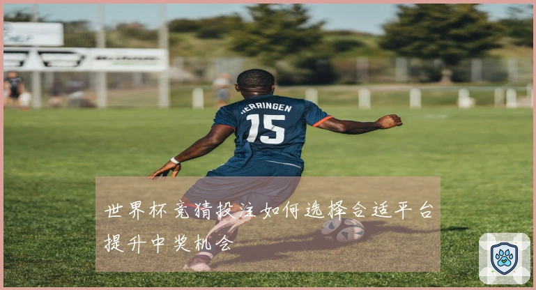 世界杯竞猜投注如何选择合适平台提升中奖机会