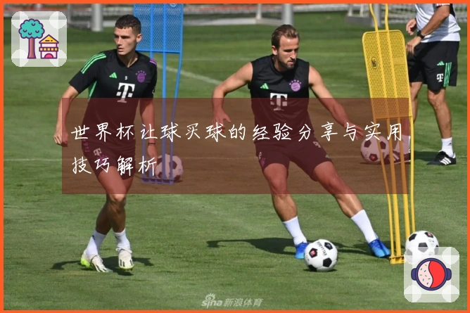 世界杯让球买球的经验分享与实用技巧解析
