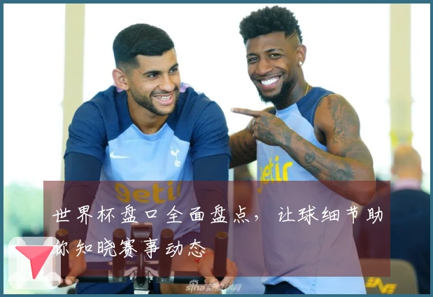 世界杯盘口全面盘点，让球细节助你知晓赛事动态
