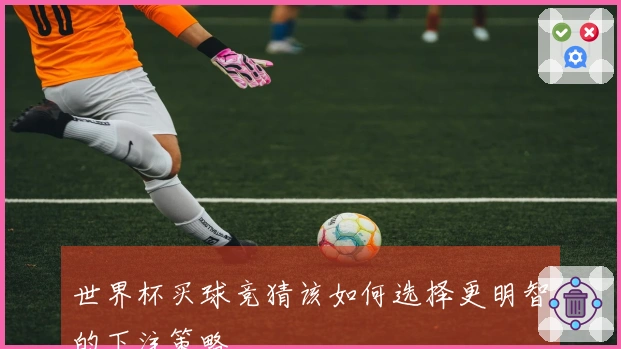 世界杯买球竞猜该如何选择更明智的下注策略