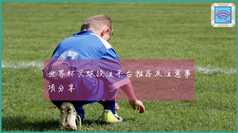 世界杯买球投注平台推荐及注意事项分享