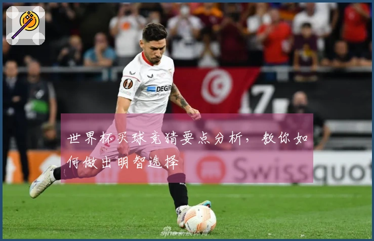 世界杯买球竞猜要点分析，教你如何做出明智选择