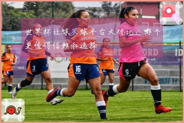 世界杯让球买球平台大对比，哪个更值得信赖和选择
