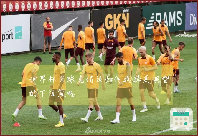 世界杯买球竞猜该如何选择更明智的下注策略