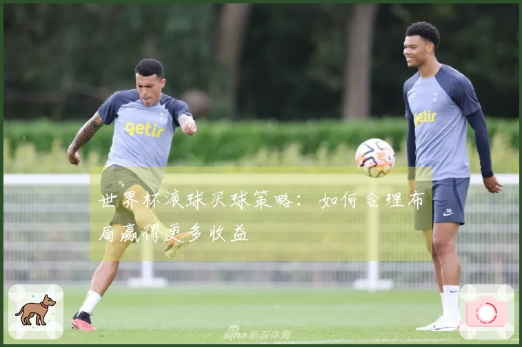 世界杯滚球买球策略：如何合理布局赢得更多收益