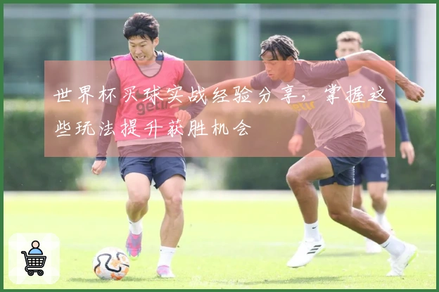 世界杯买球实战经验分享，掌握这些玩法提升获胜机会