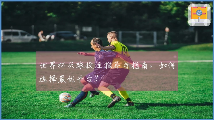 世界杯买球投注推荐与指南，如何选择最优平台？