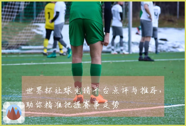 世界杯让球竞猜平台点评与推荐，助你精准把握赛事走势