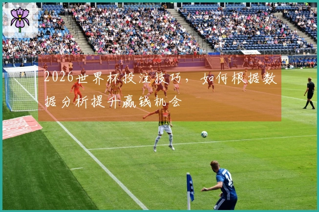 2026世界杯投注技巧，如何根据数据分析提升赢钱机会