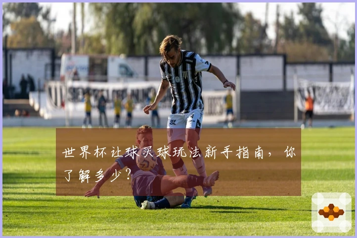世界杯让球买球玩法新手指南，你了解多少？
