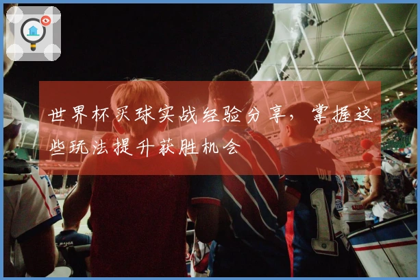 世界杯买球实战经验分享，掌握这些玩法提升获胜机会