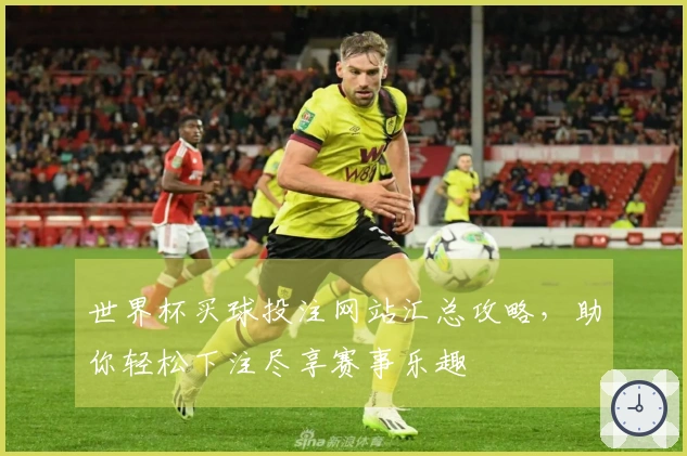 世界杯买球投注网站汇总攻略，助你轻松下注尽享赛事乐趣