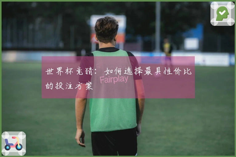 世界杯竞猜：如何选择最具性价比的投注方案