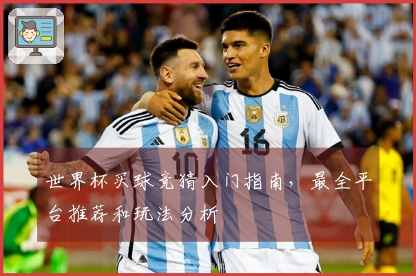世界杯买球竞猜入门指南，最全平台推荐和玩法分析