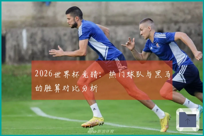 2026世界杯竞猜：热门球队与黑马的胜算对比分析