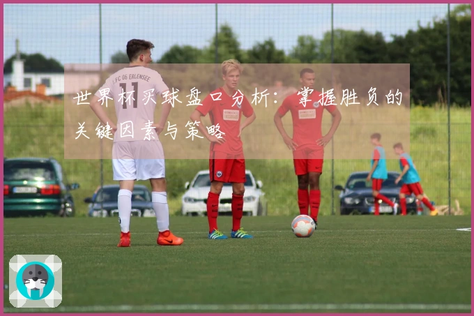 世界杯买球盘口分析：掌握胜负的关键因素与策略