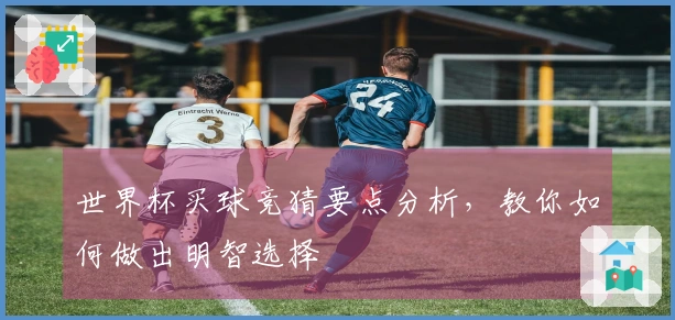 世界杯买球竞猜要点分析，教你如何做出明智选择