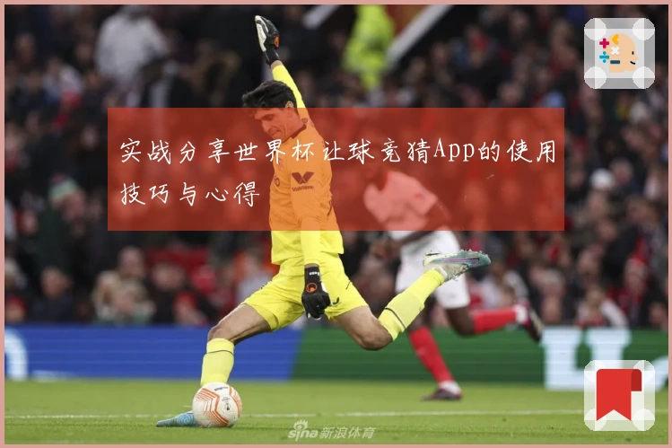 实战分享世界杯让球竞猜App的使用技巧与心得