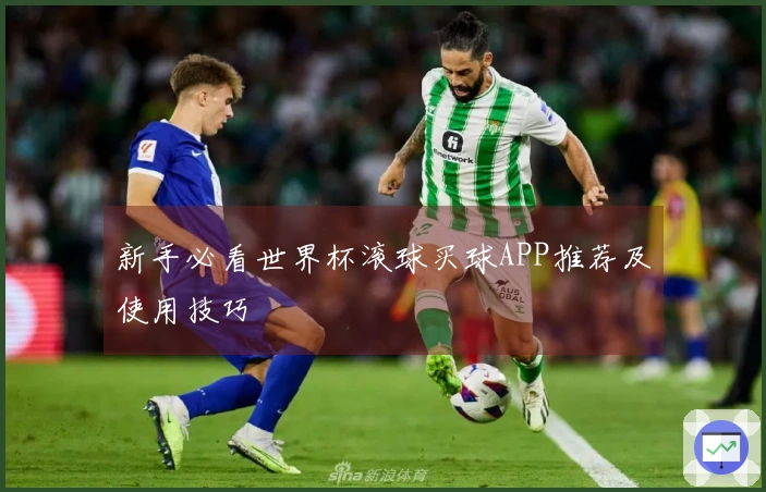 新手必看世界杯滚球买球APP推荐及使用技巧